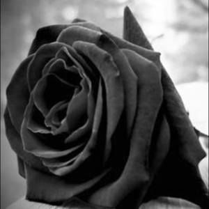 Meet your Posher, Rocio